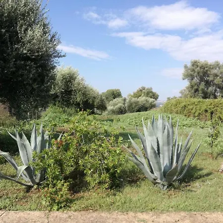 The Farm فيبو فالينتيا