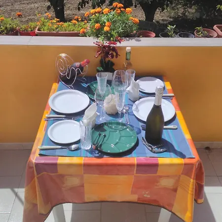 The Farm فيبو فالينتيا