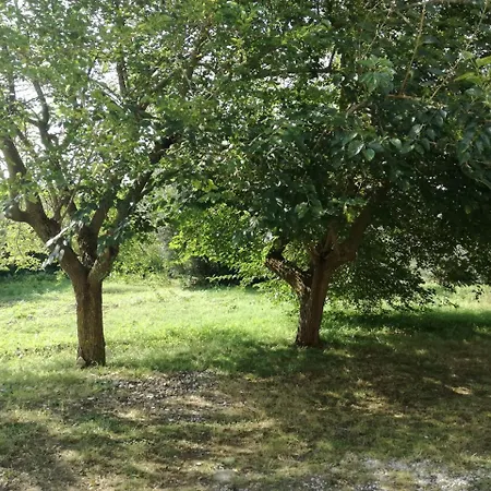 منزل ريفي The Farm فيبو فالينتيا